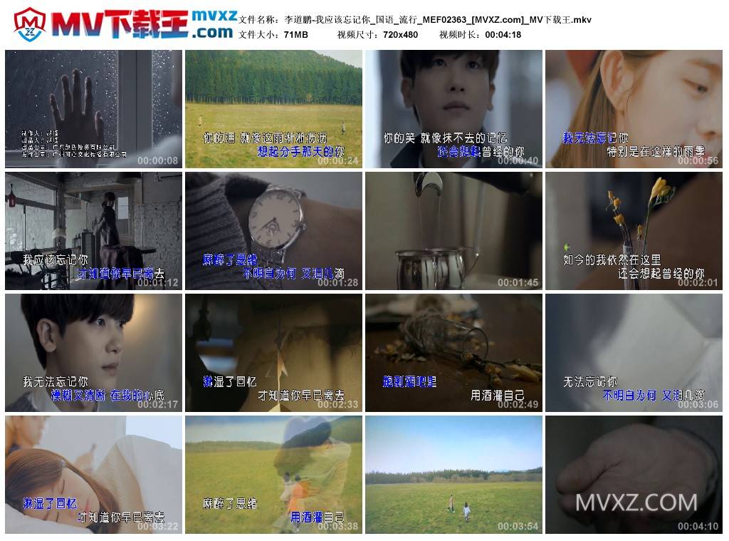 李道鹏-我应该忘记你_国语_流行_MEF02363